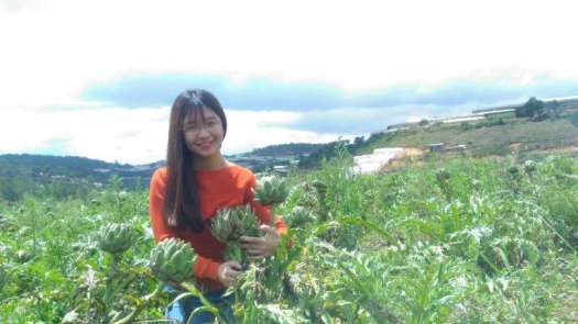 Cao Atiso nước cao cấp Thanh Uyên - hộp 10 tuýp 10ml