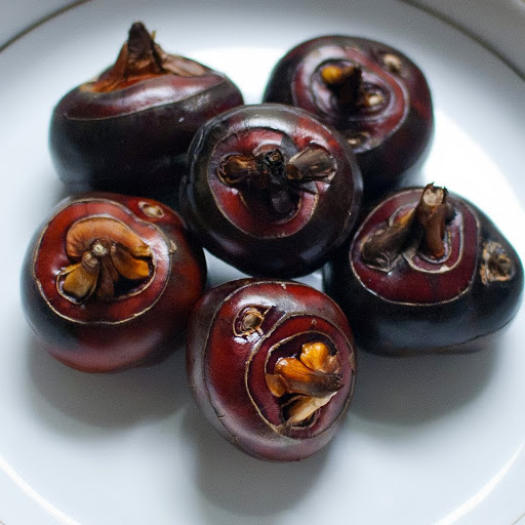 Củ Mã thầy - Củ năng siêu ngon ngọt