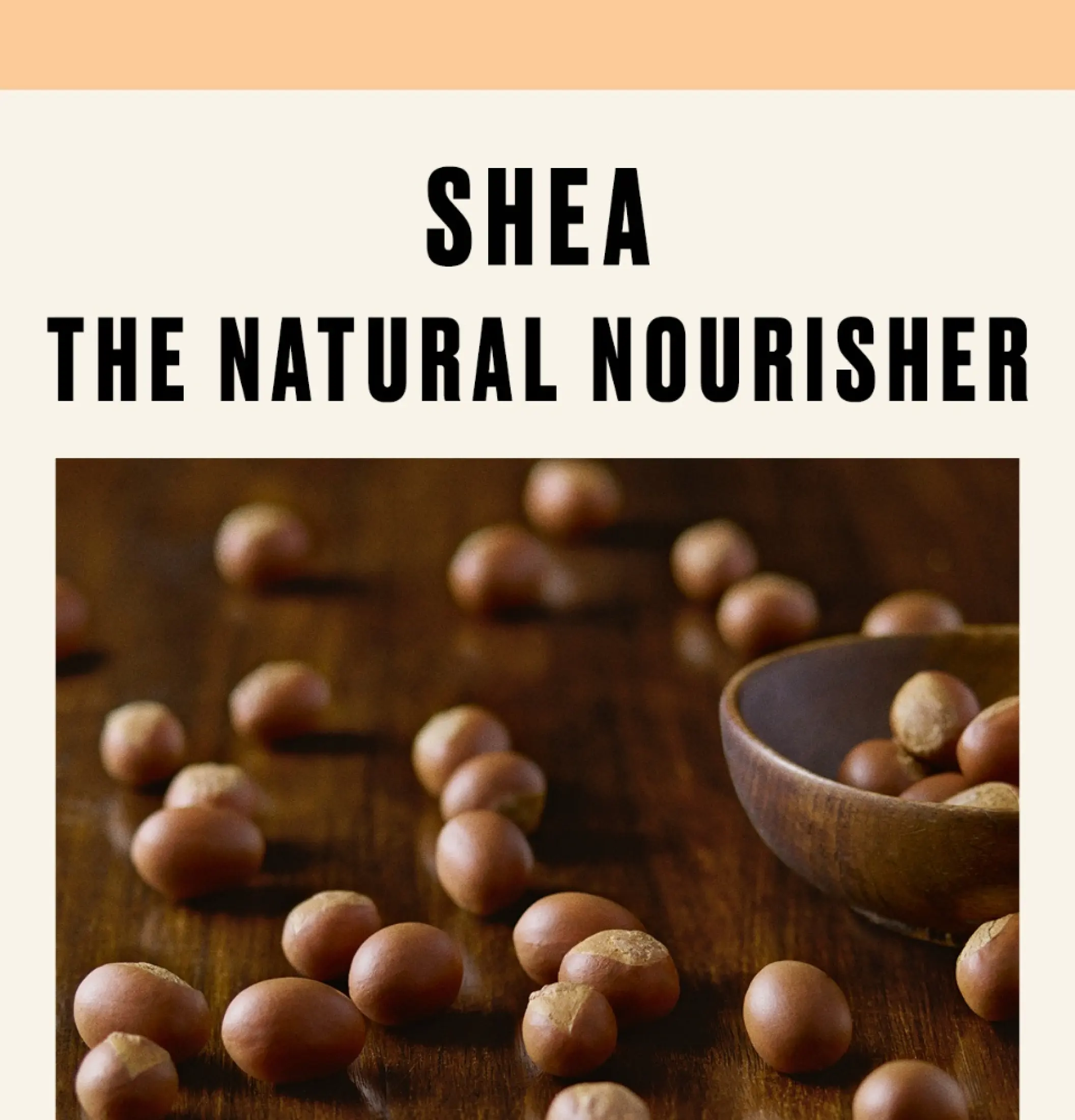 brazilian nut shea body butter